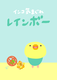 Budgie Yellowface Turquoise Renewal