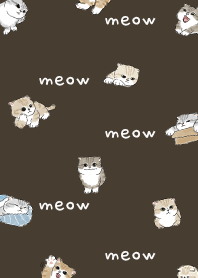 neko combo4 / chocolate