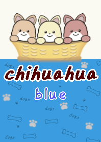 chihuahua23 theme sky blue