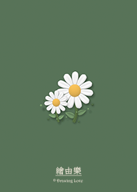 blooming daisies - Green