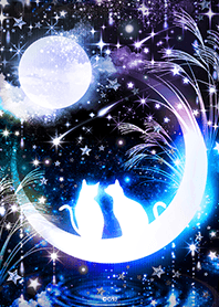 全運気を上げる☆幻想的な月夜の猫
