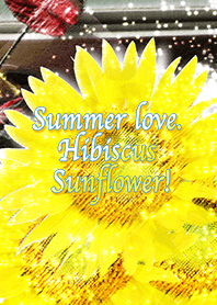 Summer love. Hibiscus Sunflower!