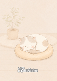 Cozy Lazy Cat: Asakura
