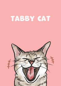 tabbycat4 - coral