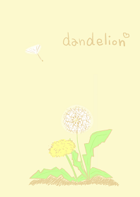 dandelion♡