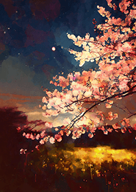 Beautiful night cherry blossoms#832