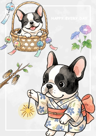 French Bulldog2/summer/grey2