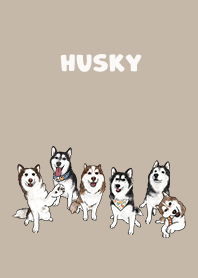 husky1 / tan