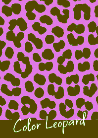 COLOR LEOPARD THEME -53