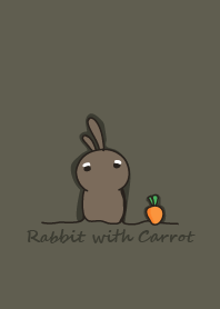 rabbit staring -164 - carrot