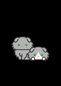 Gray Fold Cat*darkmode*long-haired*