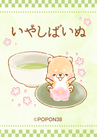 Iyashibainu Wagashi Line Theme Line Store