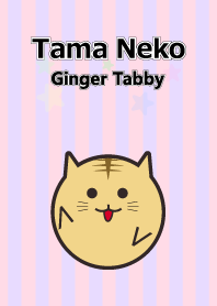 TAMA NEKO Ginger Tabby