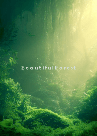 Beautiful Forest-HEALING 8