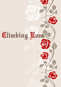 Climbing Rose*autumn