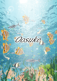 Oosuke Coral & tropical fish
