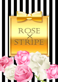 Rose and Stripe