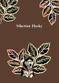 plants and siberian husky on brown JP