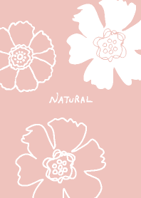 2 kinds of white flower Pink Japan