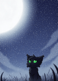 Black cat under the starry sky 8AB695