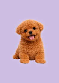 Tema Toy Poodle Boneka Purple 04