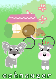 やさしい着せ替えシュナウザー1