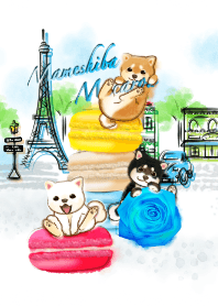 macaron mame shiba dog3-2 (Paris)