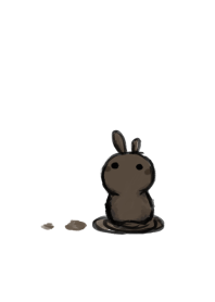 rabbit staring - spiral