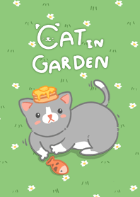 Cat in Garden