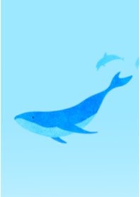 Summer blue whale