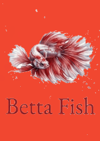 鬥魚紅白主題 V.2