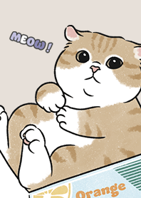 neko single16 / dark beige