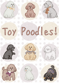 Toy Poodles!