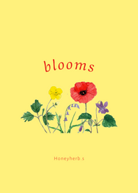 Blooms