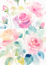 Beautiful rose flower(R4698)