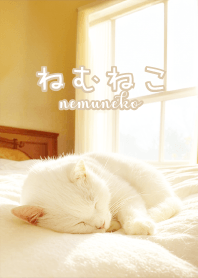 Nemuneko-4