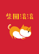 Chinese New Year Shiba dog