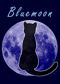 黒猫と青い月 ブルームーン