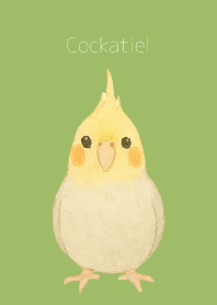 Cute Cockatiel on moss green