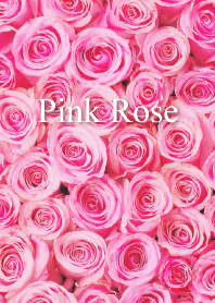 "Pink Rose vol.1" theme