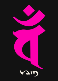 BONJI zodiac [vaM] BLACK PINK (0766