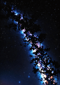 Bright Moon and Dawn F0A178