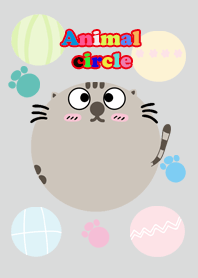 Animal Circle