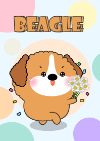 Color Cute Beagle Dog FuFu Theme