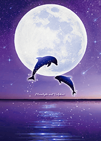 Bring good luck Full moon & Dolphins 4