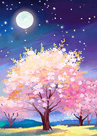 Beautiful night cherry blossoms#2898