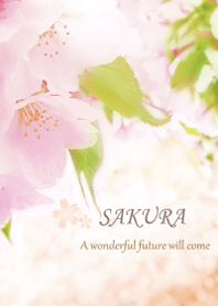 cherry blossoms that bring happiness.4.