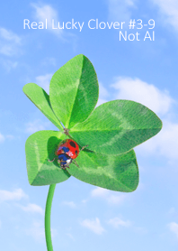 Real Lucky Clover #3-9Not AI