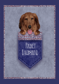 ポケット*だっくす＠ペットグランプリ