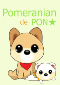 ポメラニアンでPON☆